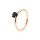 Anillo de Compromiso Ébano - Image 2