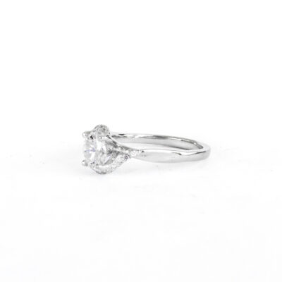 solitario bypass catedral