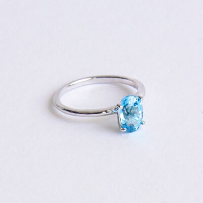 Anillo2.3 Anillo2.3