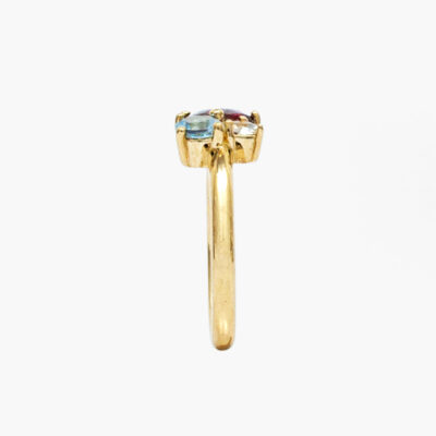 CLUSTER_RING_CRISTY_SIDE