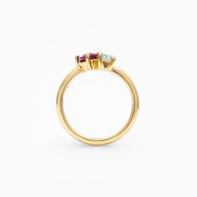 CLUSTER_RING_CRISTY_STAND