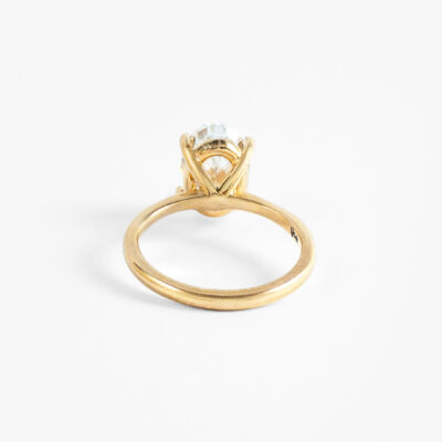 SOL_AM_OVAL_BACK_PMJ302 SOL_AM_OVAL_BACK_PMJ302